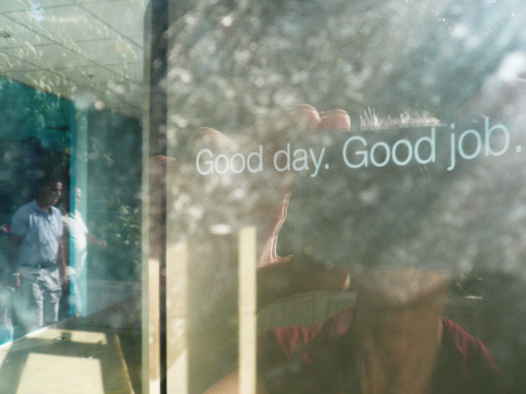 IRONIC © 2013 (27x20)