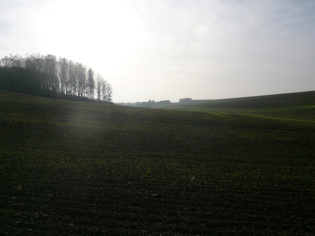 WINTER © 2017 (33x25)