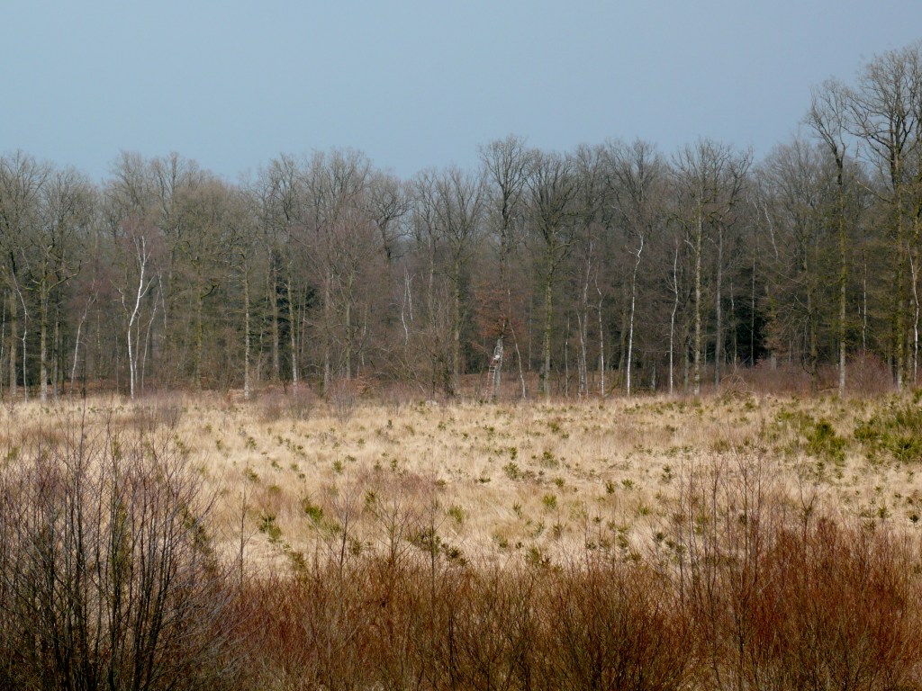 UNEXPECTED ©2013 (27x20)