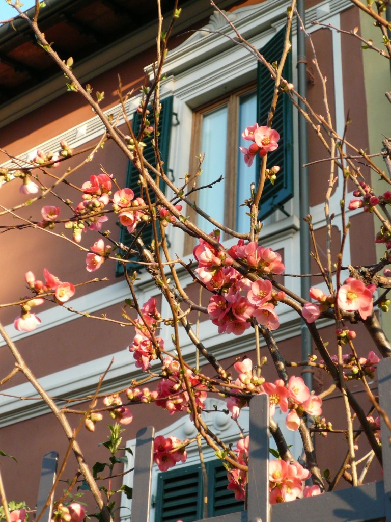 MIRACLE IN MILAN © 2008 (20x27)