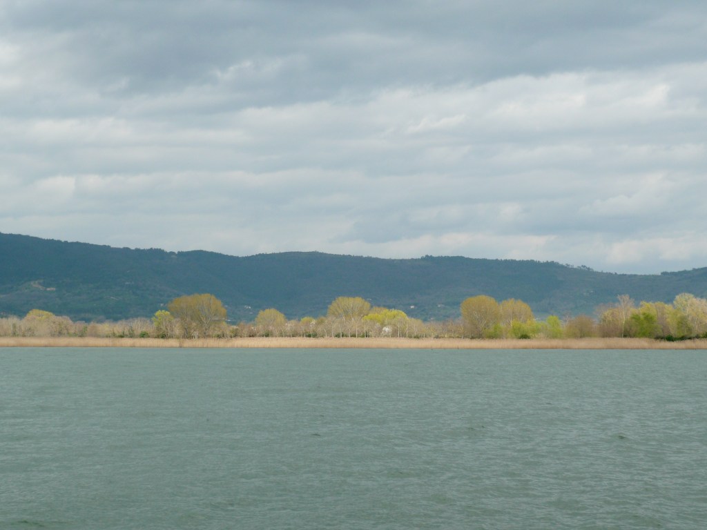 TRASIMENO © 2013 (27x20)